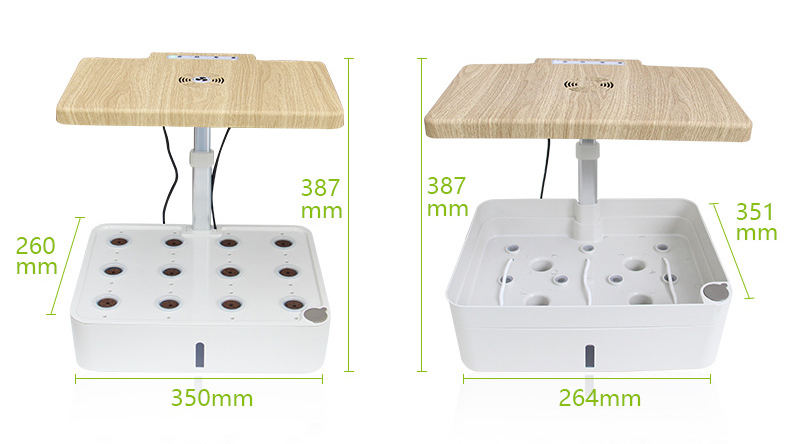 hydropponic system 2