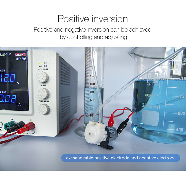 Elektrische 12 -V -Peristaltic -Mini -Dispensing -Chemikalpumpen mit CE -Zertifikat