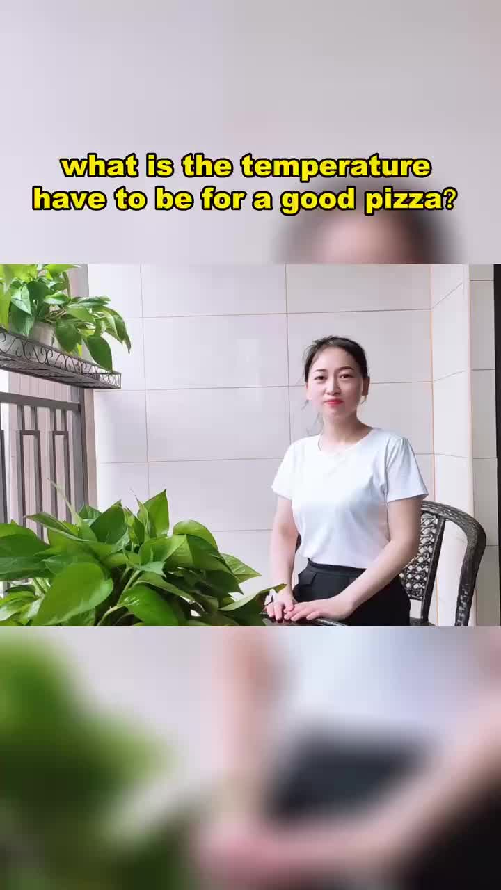 Kiểm tra nhiệt độ lò nướng bánh pizza