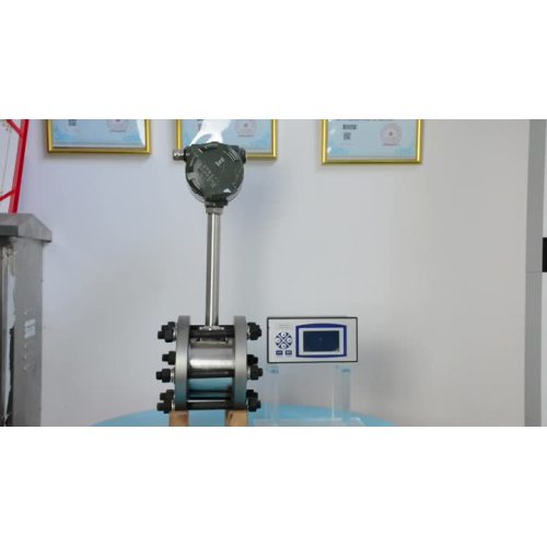 DN65 vortex flowmeter