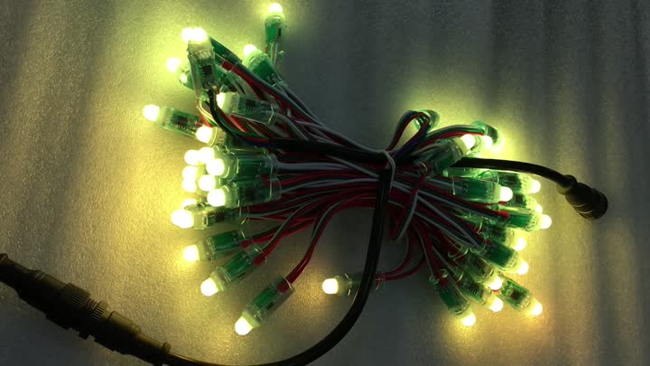 RGB WS2811 LED LED String Lights