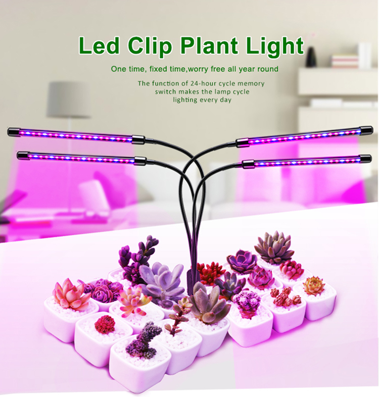 grow light 20w