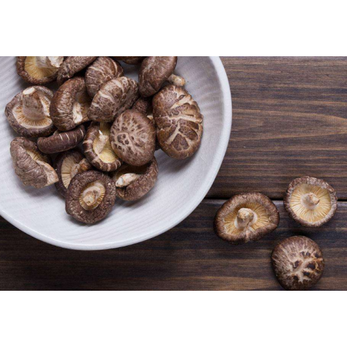 Harnessing the Potential of Shiitake Mushroom Extract for Holistic Wellbeing