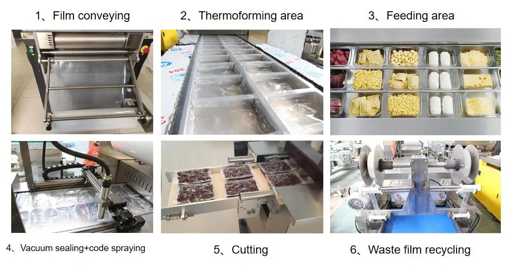 Thermoforming Stretch Film Vacuum Machine operation process