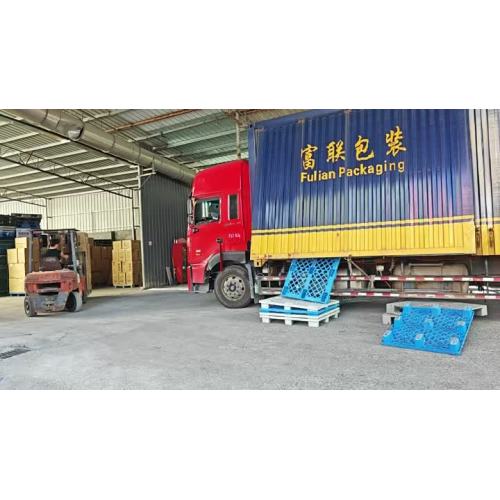 Ruibote Plastic – Procesul de ambalare a comenzii și de livrare globală