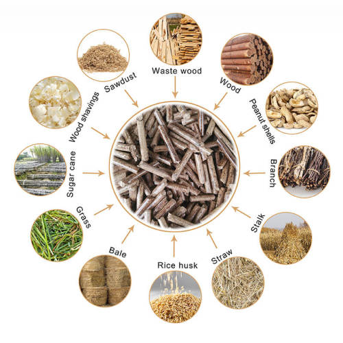 Contribution of Biomass Fuel to Environmental Protection