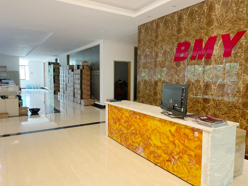 Guangzhou BMY Electronic Limited company