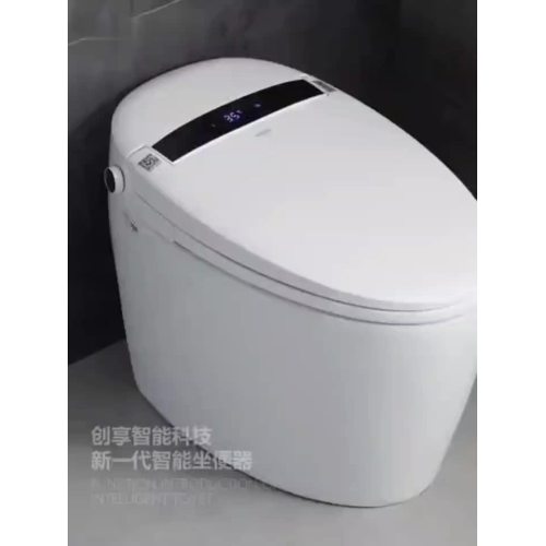 smart toilet 5