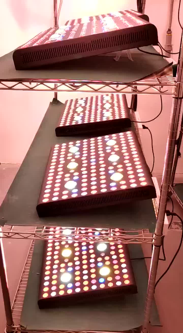 Aglex COB 3000W LED&#39;i büyür.mp4