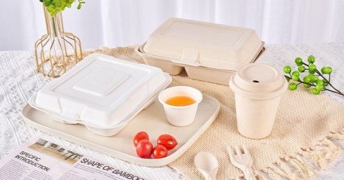 How Can Bagasse Rise in the Field of Sustainable Packaging?