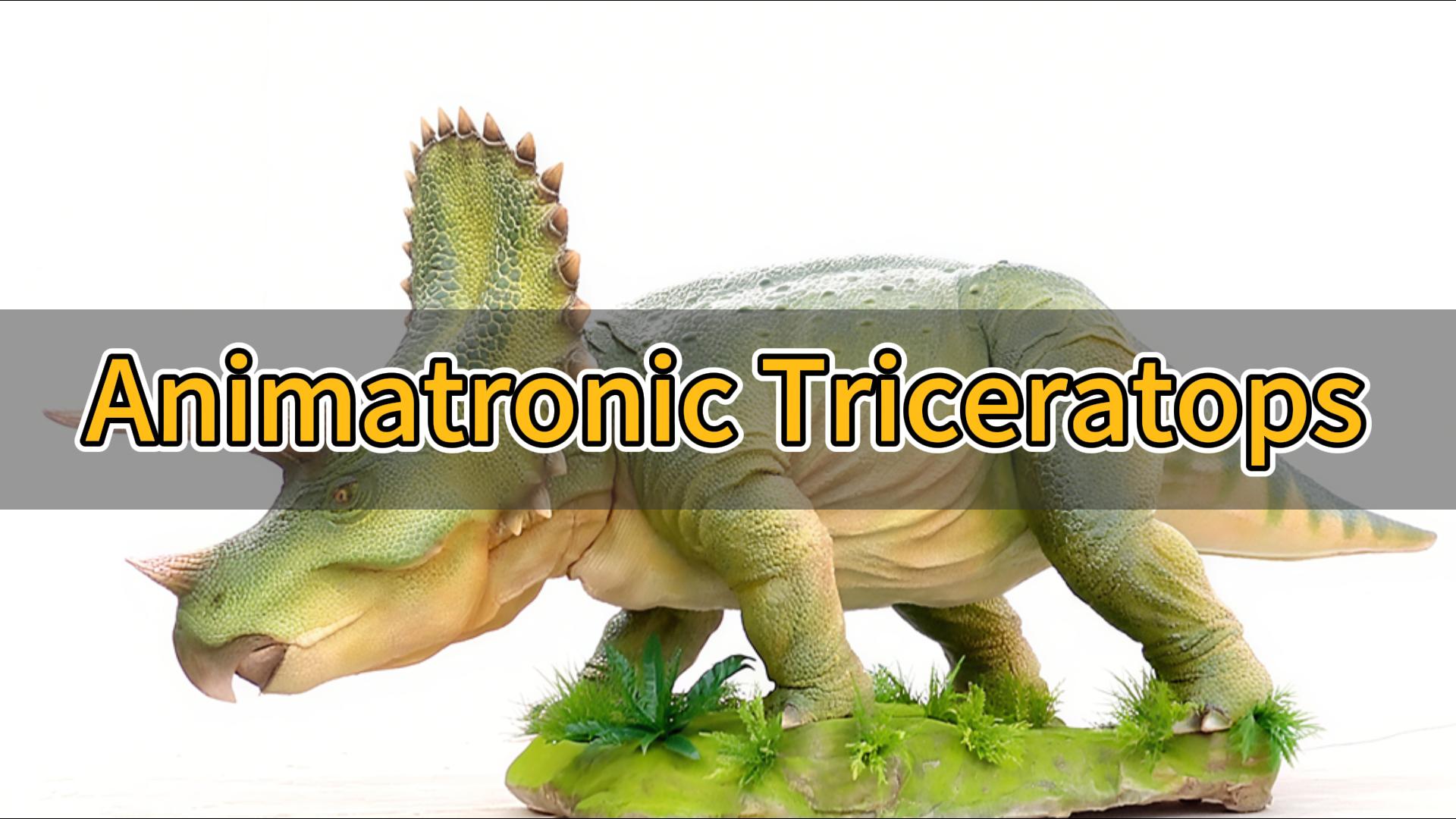 Triceratops animatronic