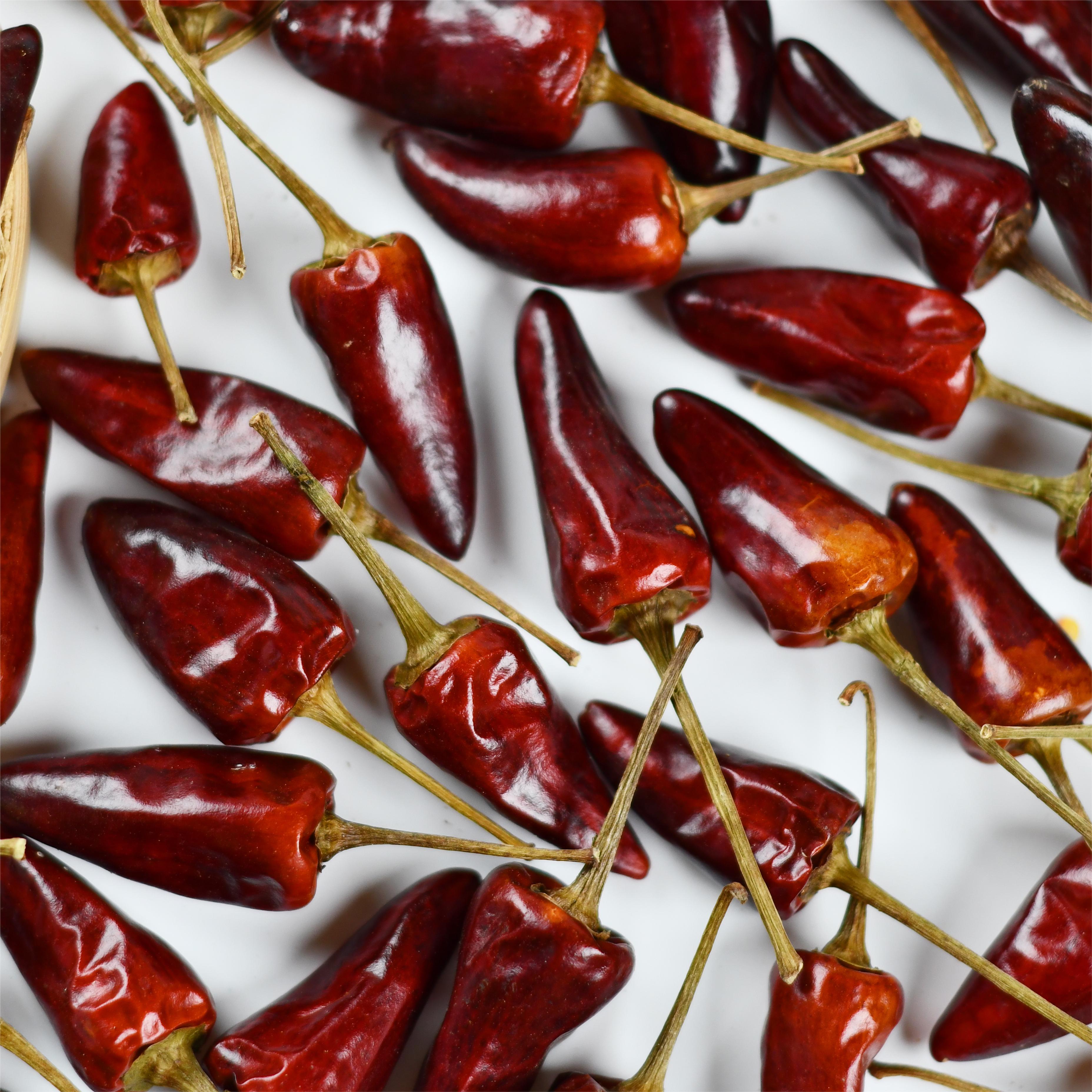 Capsicum frutescens var Dried chilli