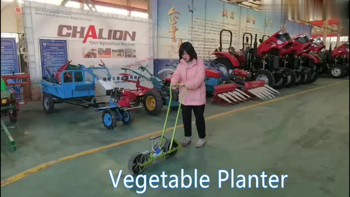 vegetable planter.mp4