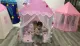 Tenda Princess da interno portatile da gioco per bambini