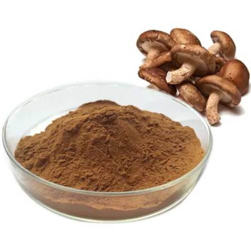 What Are The Functions Of Lentinus Edodes Extract?