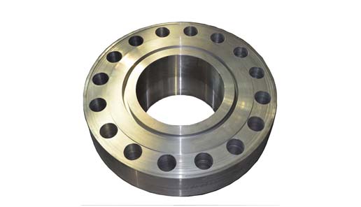 Blind Flange 4