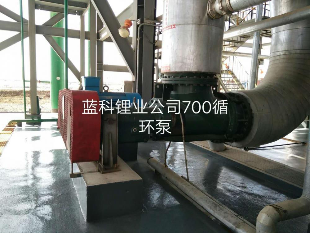 1200 mm circulation pump