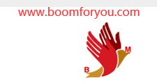 Boom Machinery (Changzhou) CO., Ltd