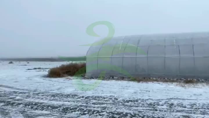 100km/h film greenhouse