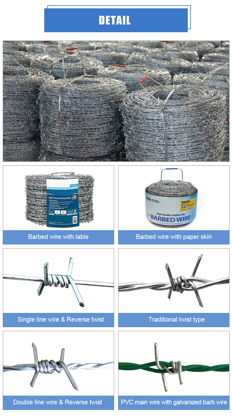 Customized Specification 25KG Hot-Dipped Galvanized Bwg16 - 1/2 4 Point Barbed Wire Per Roll PVC Coated Barbed Wire