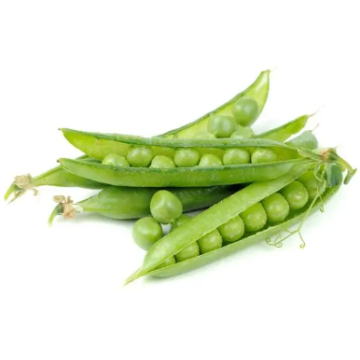 The nutritional benefits of peas and their application in food
