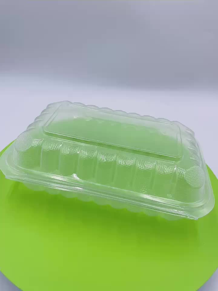 plastic  lunch box