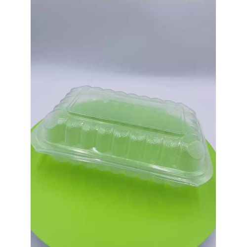 plastic  lunch box