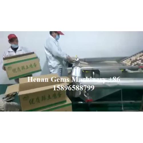 Egg Peeling Cleaning Boiling Shelling Processing Plant - ซื้อโรงปอกไข่โรงต้มไข่ผลิตภัณฑ์จากโรงงานแปรรูปไข่. mp4