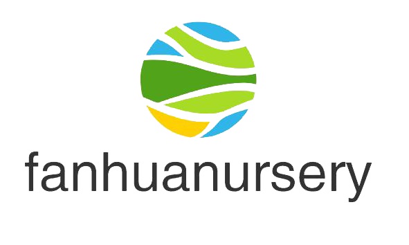 fanhua nursery