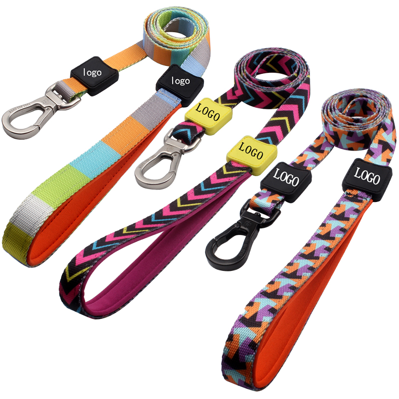 Colorful Dog Leash