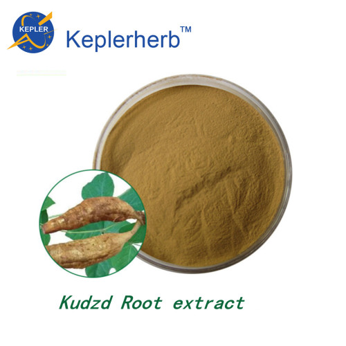 Kudzu Root Extract