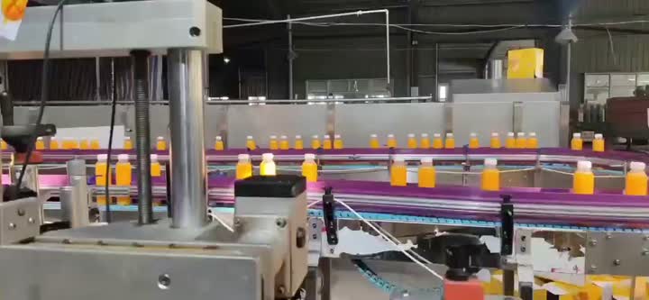 Пробиотический состав фруктового сока