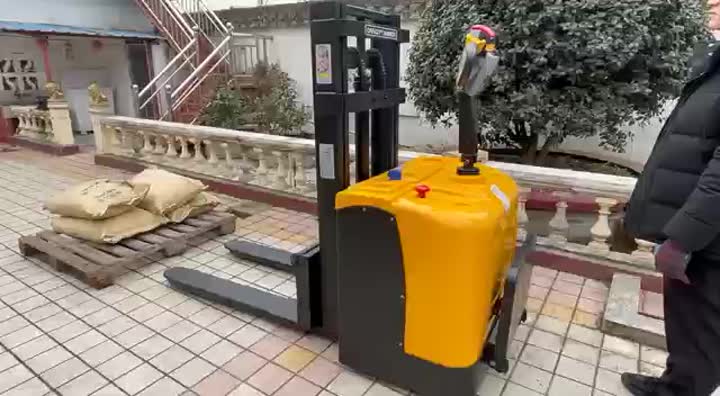 Trak pallet elektrik diniu