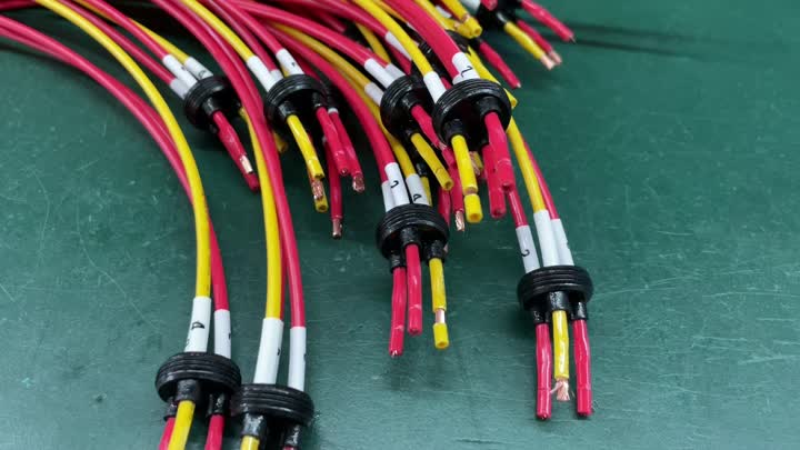 Customized Wire Harness for Vehicle