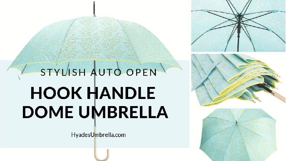 Stylish Auto Open Hook Handle Dome Umbrella