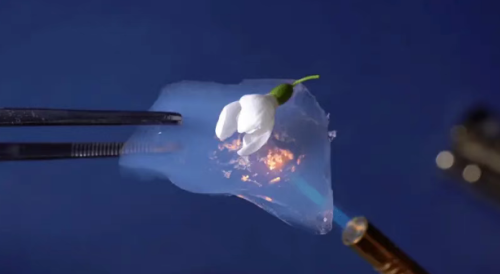 New Products: Aerogel brush Filaments
