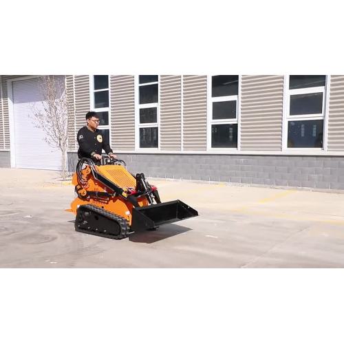 Skid Steer Loader