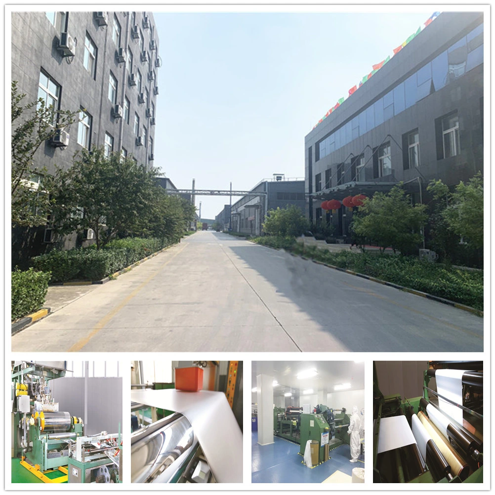 China Transparent Plastic Printed PVC Box Display Film Packaging Folding Acetate Boxes Clear Vinyl PVC Pet RPET Packaging Box Factory