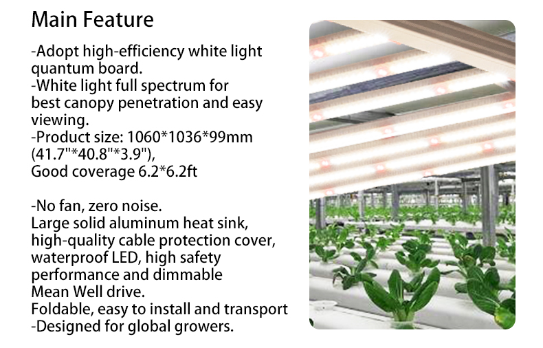 new hydroponic system indoor full spectrum 600W 650W 1000W best plant grow lights led