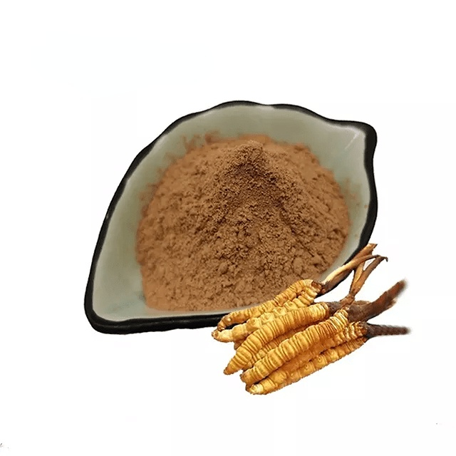 Cordyceps sinensis extract powder