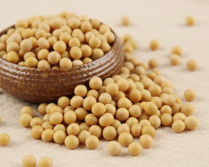  grain soybean2