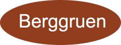 Berggruen Technology Co.,Ltd