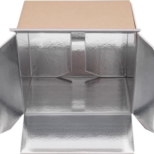 Research Brief on Insulated Cartons: Advantages, Market and Opportunities