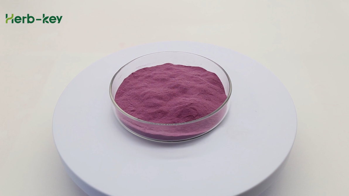 Blueberry freeze-dried powder