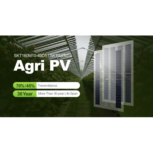 Agri PV 10-19