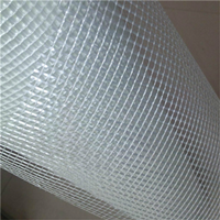 Building Wall Fiberglass Mesh