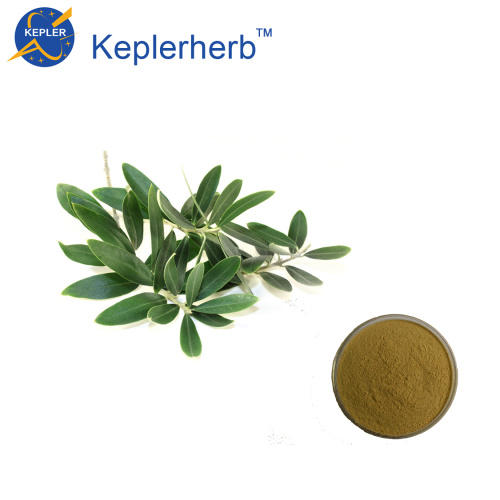Olive Leaf Extract