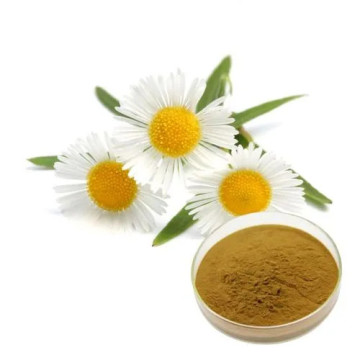 Supply Pure Natural Chamomile Extract Powder
