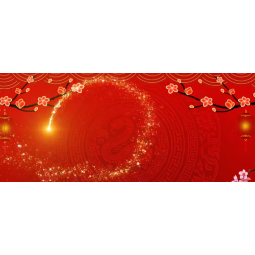 Blessing video of the year of the snake 2025