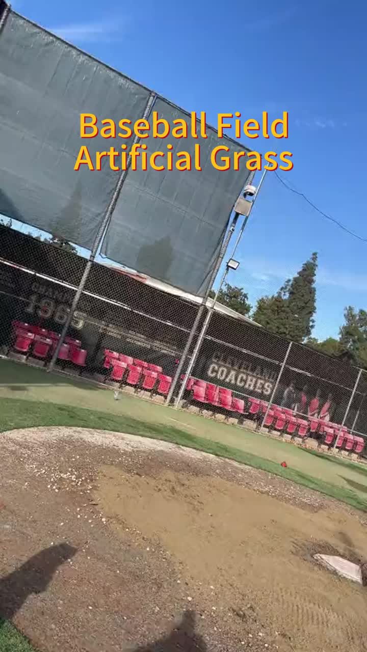 Campo de béisbol (3)